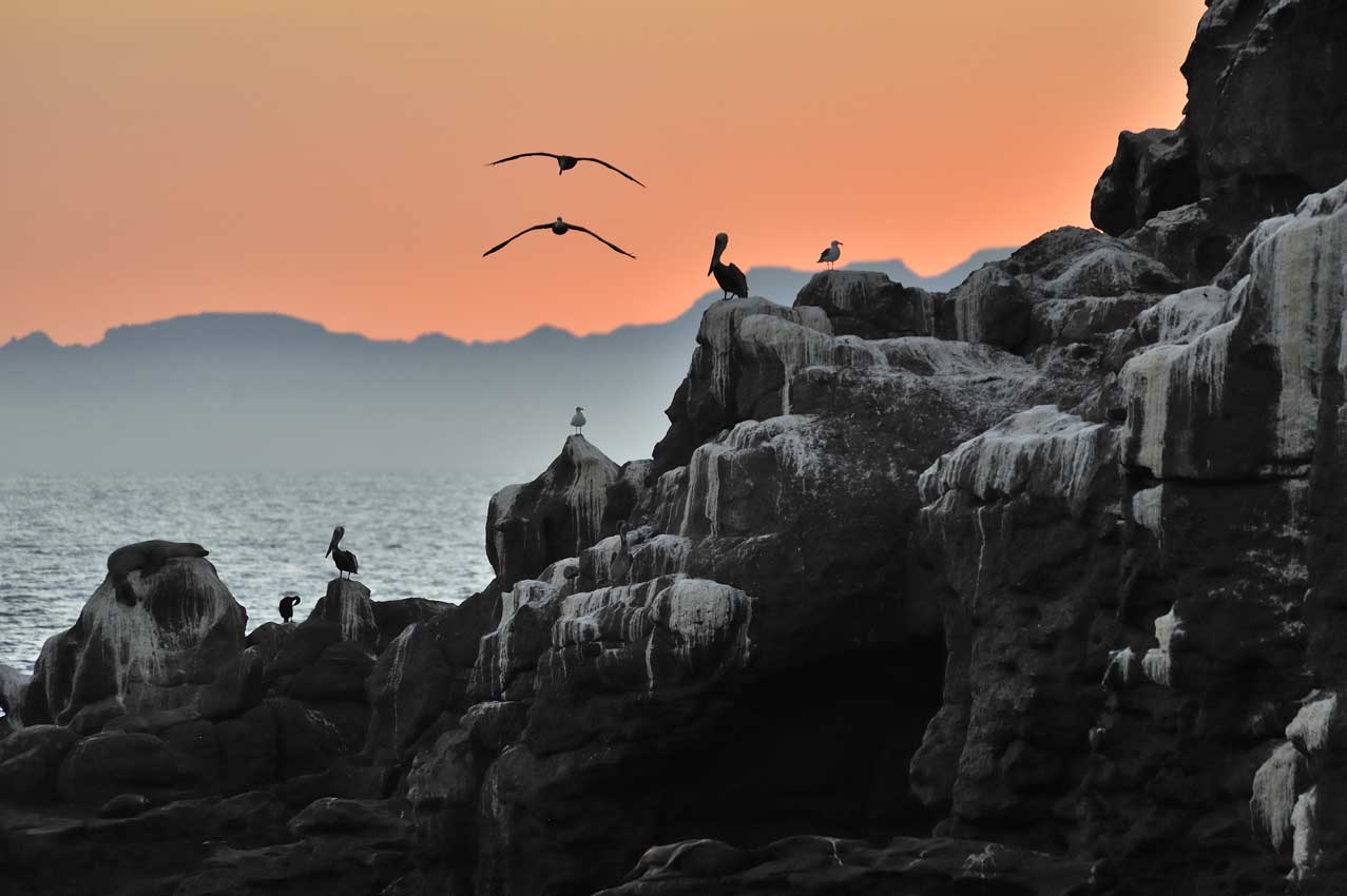 Coucher de soleil sur Los Islotes en mer de Cortez – Mexique