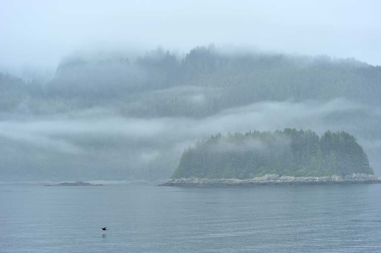 Paysages brumeux entre Sitka et Juneau – USA