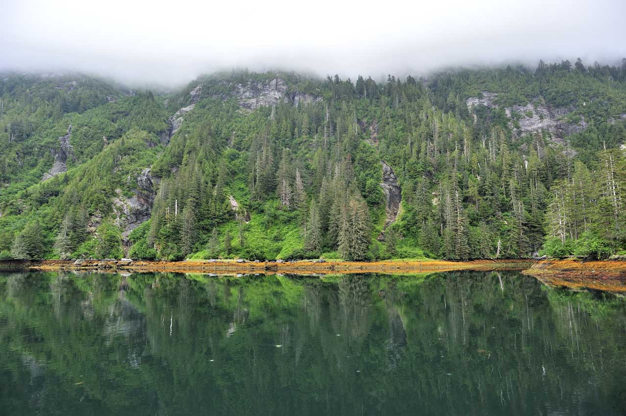 Paysages brumeux entre Sitka et Juneau – USA