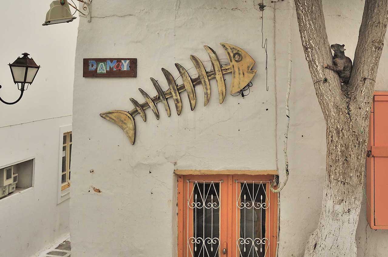 Scène de rue à Parikia - Grèce