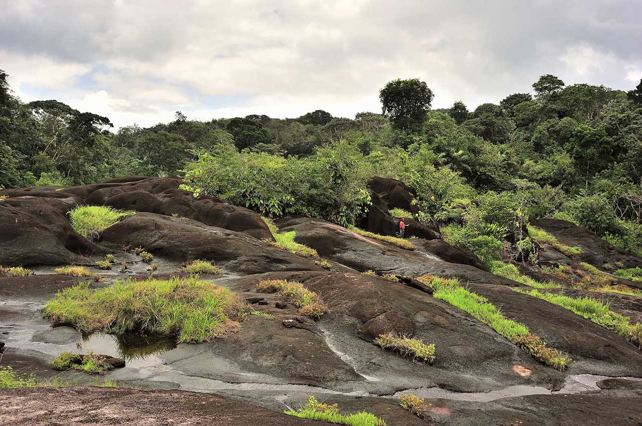 Inselberg près de l'Oyapock - Guyane Française