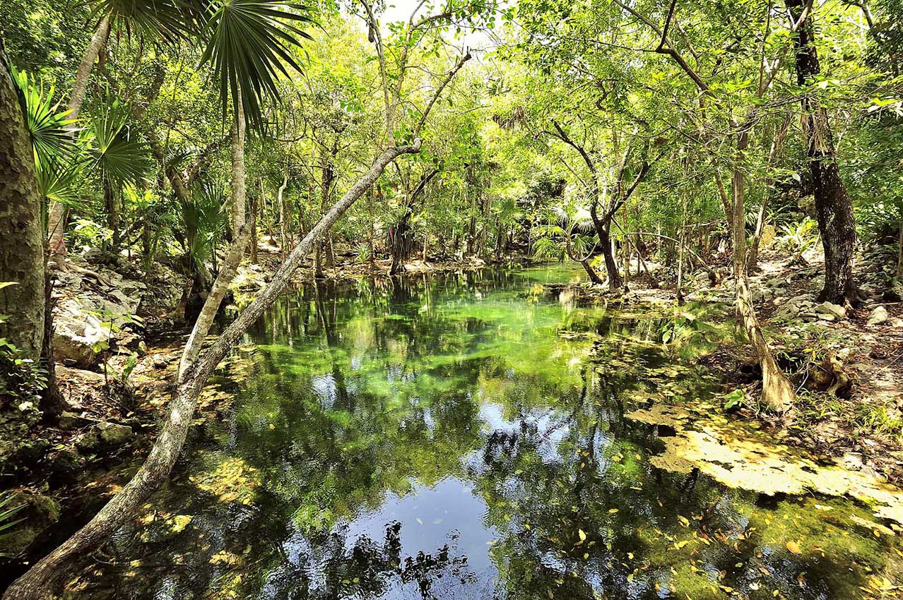 Une vue extérieure du cénote Chikin Ha - Mexique