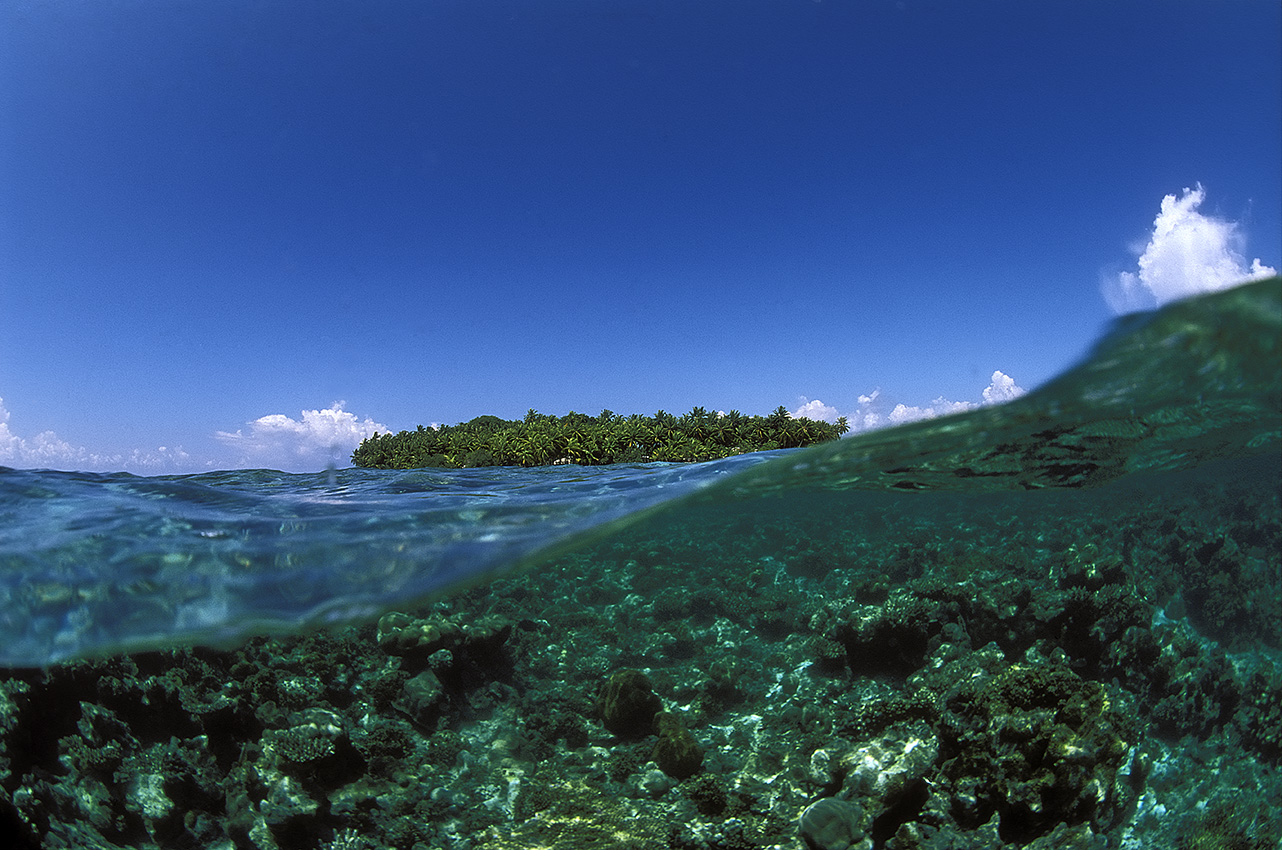Un récif corallien à fleur d'eau devant une île – Maldives