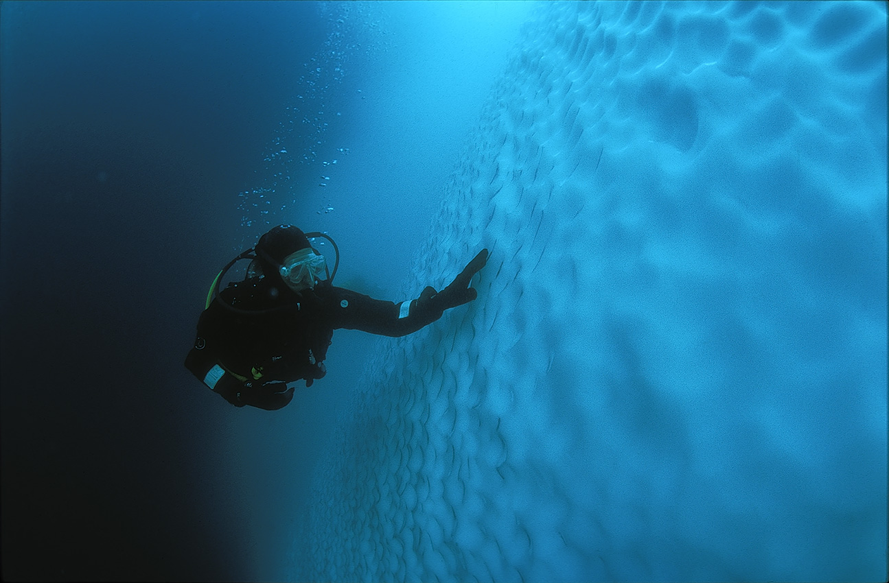 Un plongeur le long d'un iceberg - Antarctique