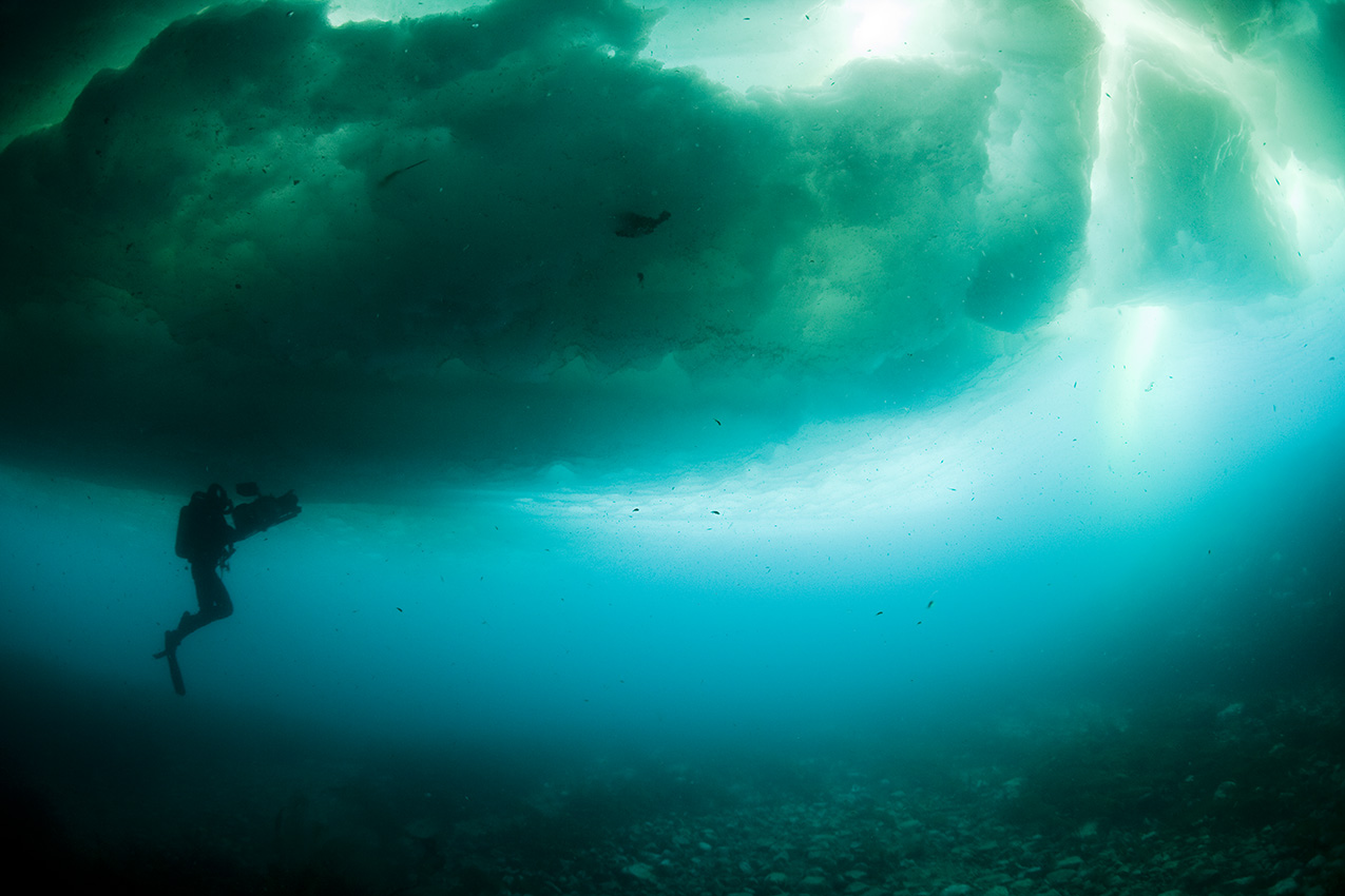 Un caméraman plongeant et filmant sous la glace formée par des icebergs – Canada