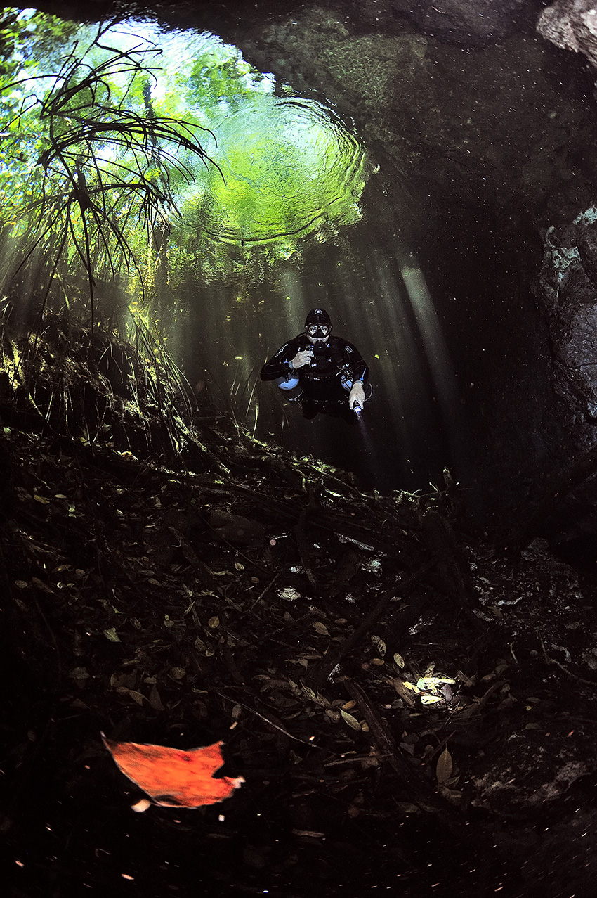 Un plongeur dans les rayons de lumière qui passent par une ouverture du cénote - Mexique