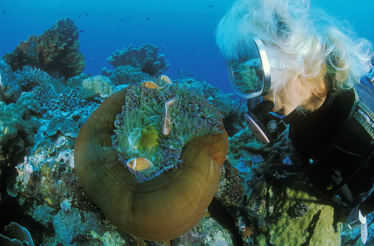 Une plongeuse devant une anémone magnifique avec des poissons-clowns à collier - Papouasie-Nouvelle Guinée