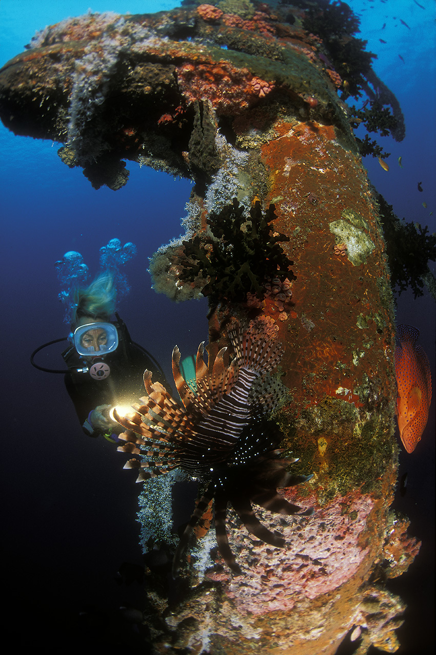 Une plongeuse sur l'épave 