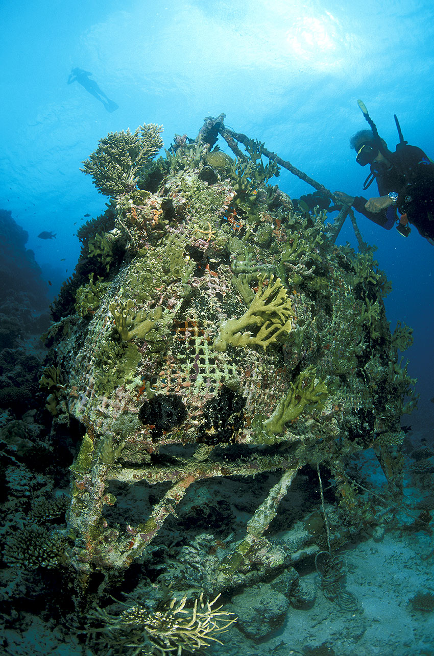Le projet Barnacle est un récif artificiel contruit en 1996 à partir d'un cadre métallique - Maldives