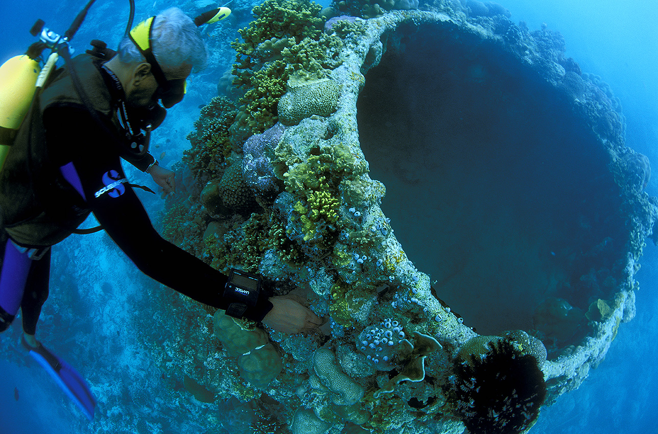 Le projet 'Barnacle' est un récif artificiel contruit en 1996 à partir d'un cadre métallique - Maldives