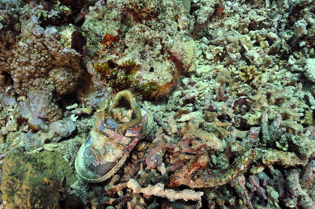 Une vieille chaussure sous l'eau – Indonésie