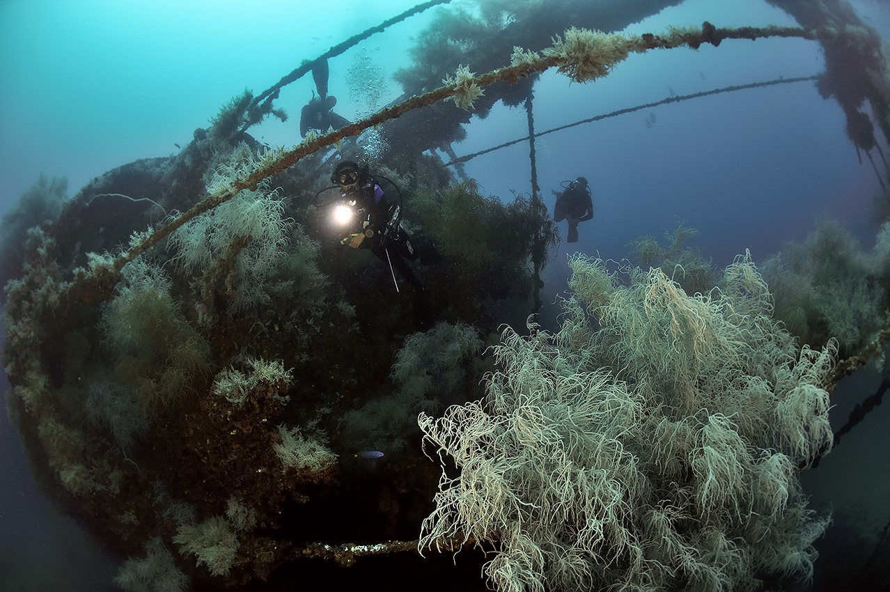 Des plongeurs sur l'épave du Doña Marilyn – Philippines