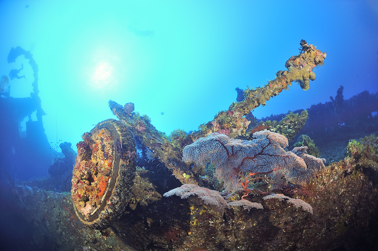 Une pièce d'artillerie sur le pont de l'épave du Nippo Maru - Chuuk Lagoon ou Truk Lagoon