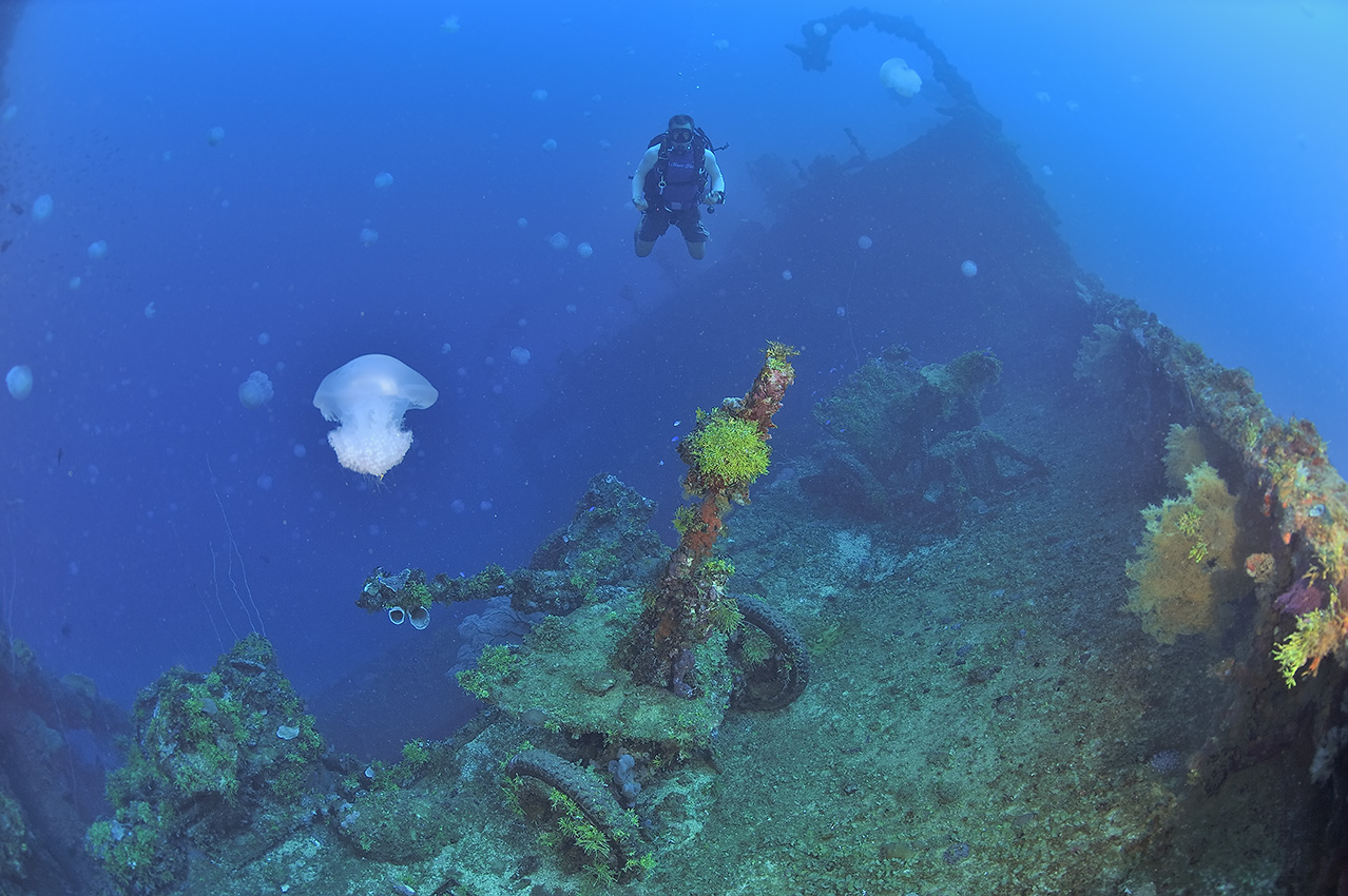 Un plongeur au-dessus de pièces d'artillerie de l'épave du Nippo Maru - Chuuk Lagoon ou Truk Lagoon