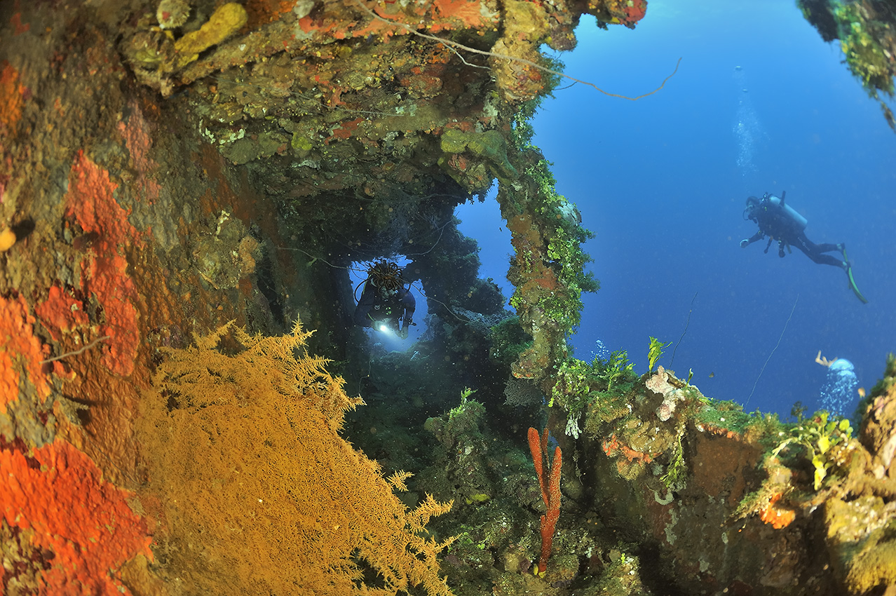 Une plongeuse dans les coursives de l'épave du Fujikawa Maru - Chuuk Lagoon ou Truk Lagoon