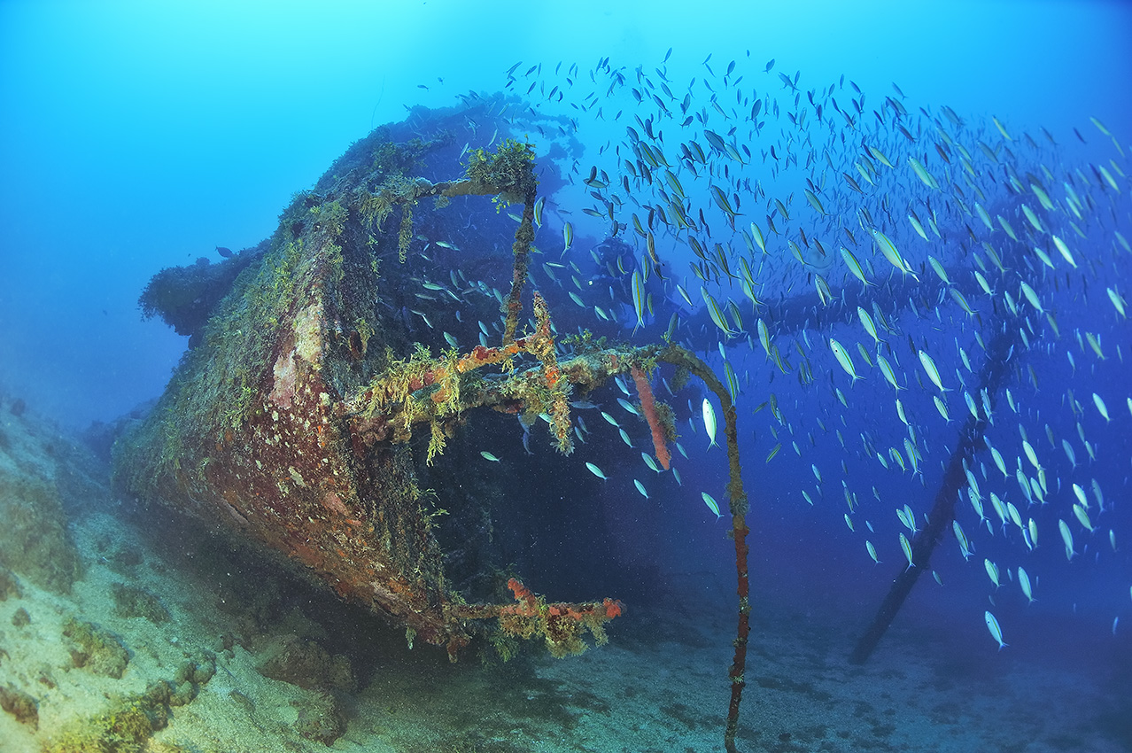 Un plongeur près de la proue de l'épave du Gosei Maru - Chuuk Lagoon ou Truk Lagoon