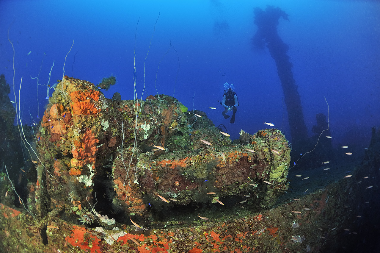 Un plongeur au-dessus de deux chars sur l'épave du San Francisco Maru - Chuuk Lagoon ou Truk Lagoon