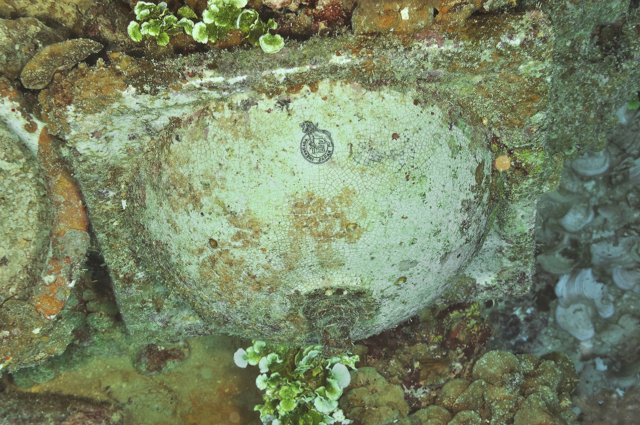 Parmi les débris de l'épave du Shinkoku Maru, un lavabo ou un évier - Chuuk Lagoon ou Truk Lagoon