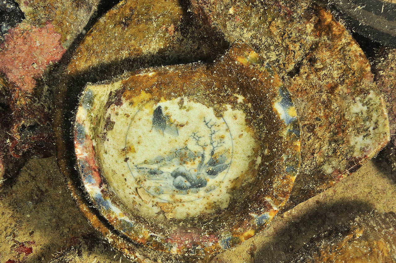 Parmi les débris de l'épave du Shinkoku Maru, des assiettes en porcelaine - Chuuk Lagoon ou Truk Lagoon